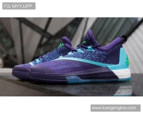 明星款篮球鞋的魅力与性能解析让你在球场上闪耀全场